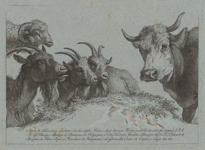 Tanulmány a fejekről: Három kecske, egy ökör és egy kos, megjelent c. 1783. alkotó: Francesco Londonio
