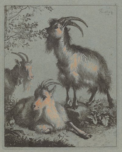 Három kecske, 1758. alkotó: Francesco Londonio