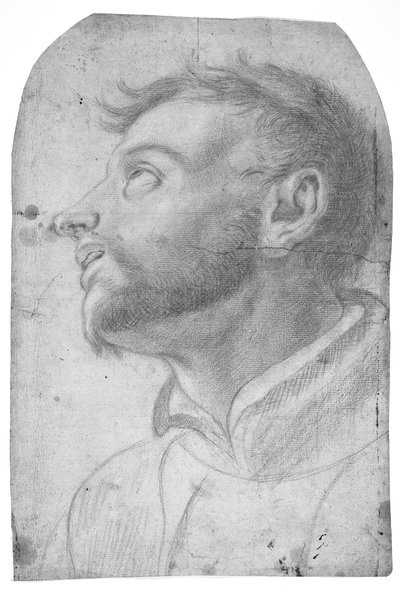 Felfelé tekintő férfi feje alkotó: Francesco Solimena