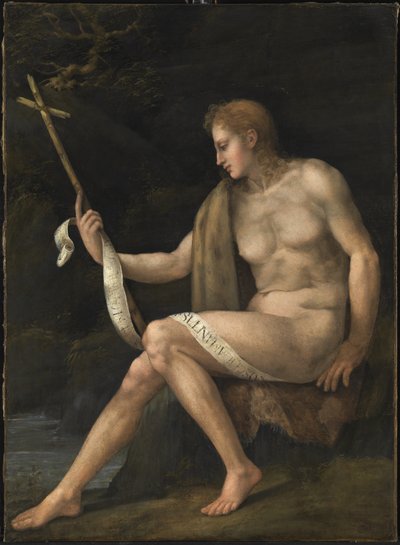 Keresztelő Szent János a pusztában alkotó: Francesco Ubertini Bacchiacca