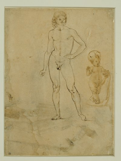Meztelen ifjú, áll;a kis Jézus;női portré jobbra fordítva ... alkotó: Francesco di Simone (attr. to)