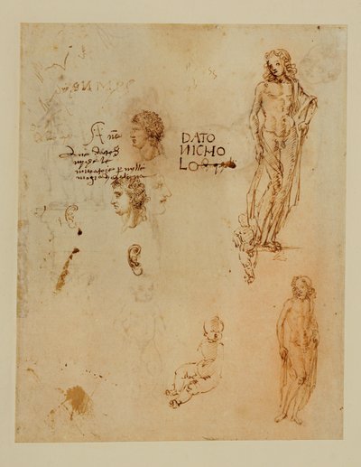 Három profil;fülek;két Apolló ... alkotó: Francesco di Simone (attr. to)