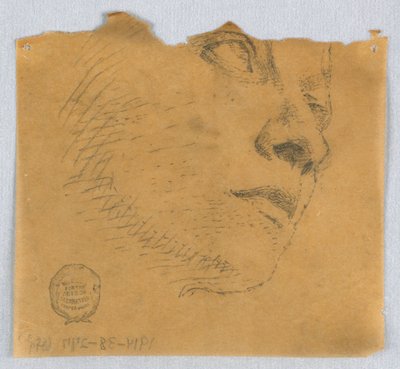 Részleges vázlat egy arcról alkotó: Francis Augustus Lathrop