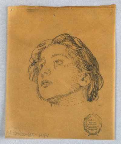Vázlat egy női fejről alkotó: Francis Augustus Lathrop