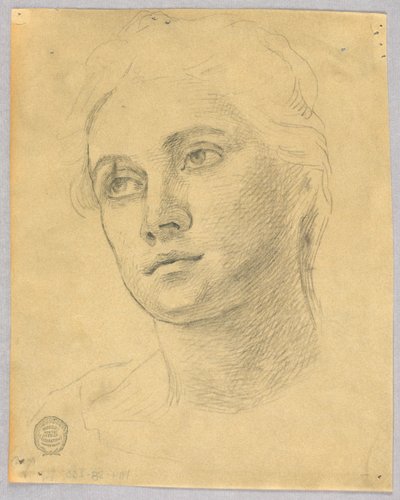 Vázlat egy női fejről alkotó: Francis Augustus Lathrop