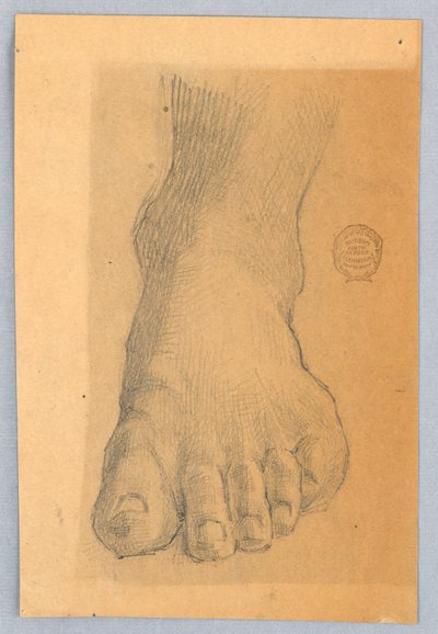A bal láb tanulmányozása alkotó: Francis Augustus Lathrop