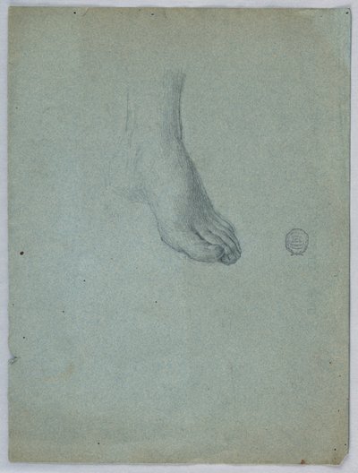 A bal láb tanulmányozása alkotó: Francis Augustus Lathrop