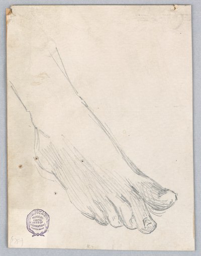 A jobb láb tanulmányozása alkotó: Francis Augustus Lathrop