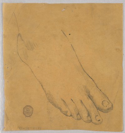 A jobb láb tanulmányozása alkotó: Francis Augustus Lathrop