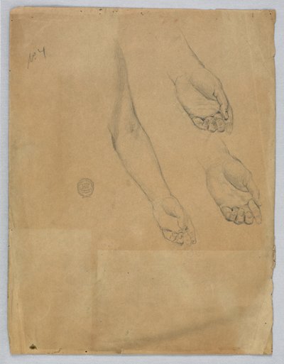 Három tanulmány a bal kézről alkotó: Francis Augustus Lathrop