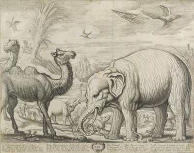 Afrika, 1672 alkotó: Francis Barlow