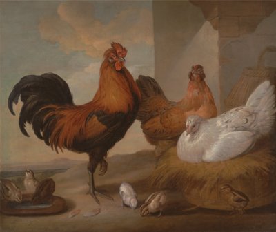 Házi kakas, tyúk és csibe alkotó: Francis Barlow