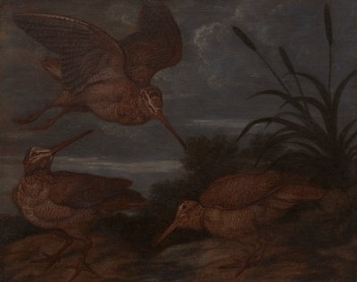 Fakakas alkonyatkor alkotó: Francis Barlow