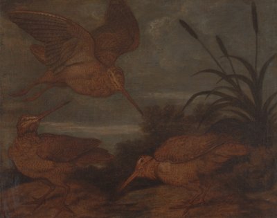 Erdei szalonkák alkonyatkor alkotó: Francis Barlow