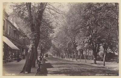 Cheltenham, a sétány alkotó: Francis Bedford