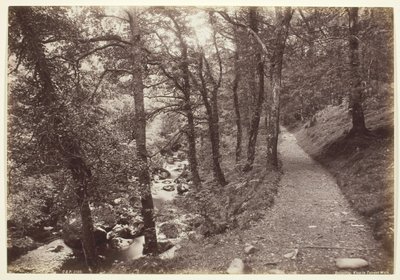 Dolgelley, View in Torrent Walk alkotó: Francis Bedford