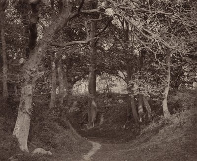 Glen Kenilworth alkotó: Francis Bedford