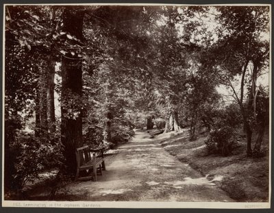 Leamington, a Jephson Gardensben alkotó: Francis Bedford