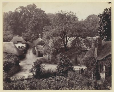 Untitled [nádfedeles nyaralók], 186094. alkotó: Francis Bedford