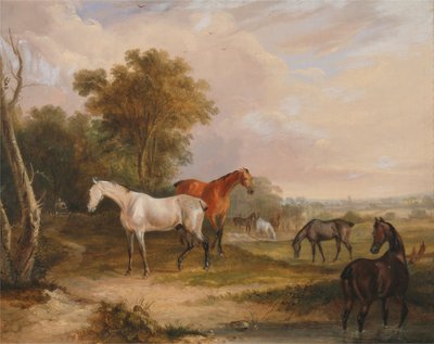 Legelő lovak: egy szürke csődör legelészik kancákkal egy réten alkotó: Francis Calcraft Turner