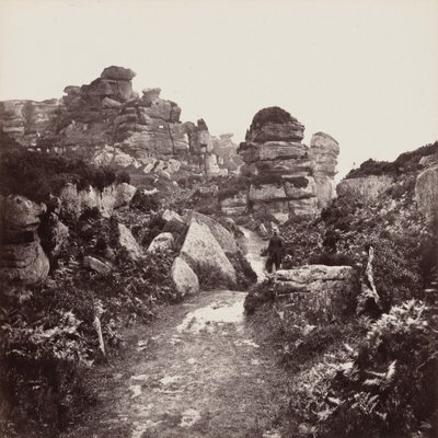 Brimham sziklái, Yorkshire alkotó: Francis Frith