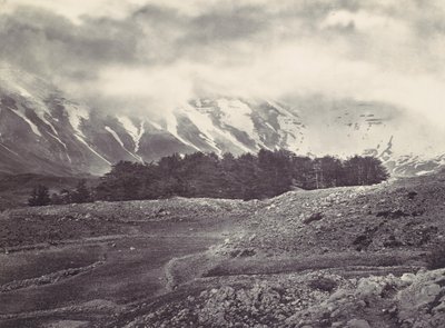 Távoli kilátás a libanoni cédrusokra, kb. 1857. alkotó: Francis Frith