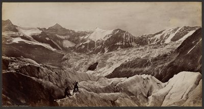 Icemer: Grindelwald alkotó: Francis Frith