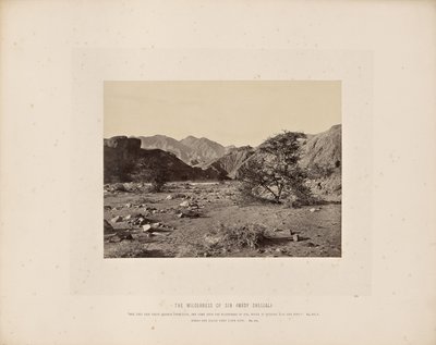 A bűn vadonja (Wady Shellal) alkotó: Francis Frith