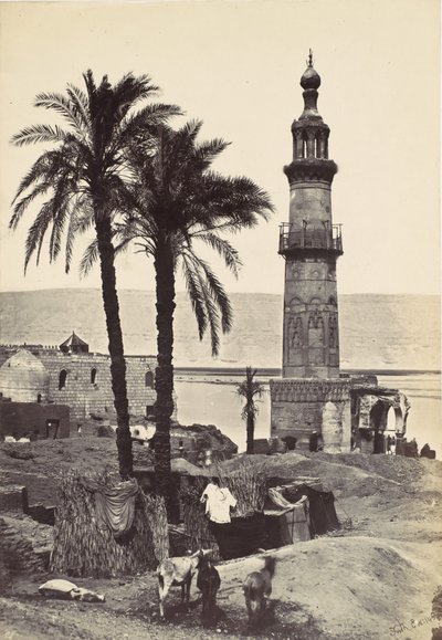 Nézet Girgehben, 1857. alkotó: Francis Frith