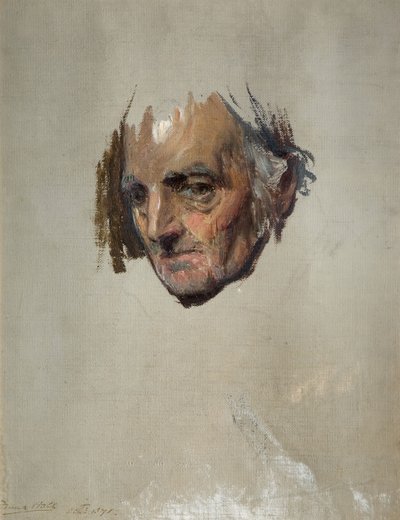 Egy öregember feje, 1871. alkotó: Francis Montague Holl