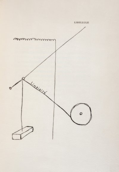 Szitakötő alkotó: Francis Picabia