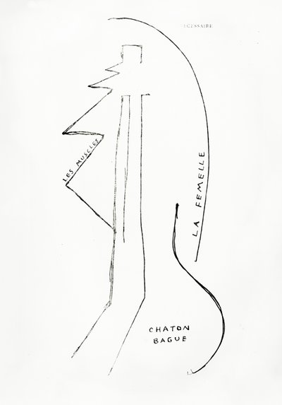 Poemes et Dessins de la Fille nee sans Mere, no.23, kiadó: Imprimeries Reunies, Lausanne. alkotó: Francis Picabia