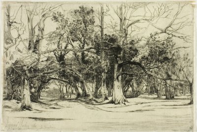 Egy mellékút Tipperaryben alkotó: Francis Seymour Haden