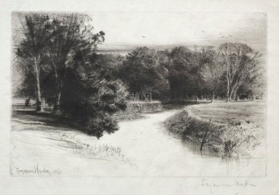 Naplemente Írországban, 1863. alkotó: Francis Seymour Haden