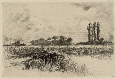 Vízi rét alkotó: Francis Seymour Haden