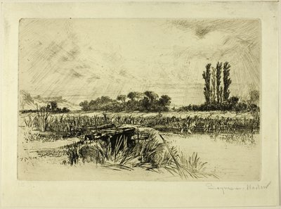 Vízi rét alkotó: Francis Seymour Haden
