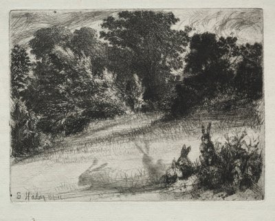 Fésű alsó. alkotó: Francis Seymour Haden