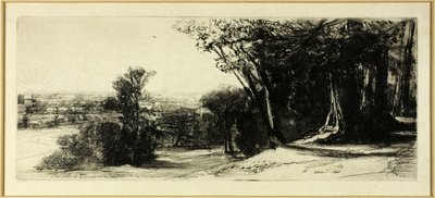 Kora reggel, Richmond Park alkotó: Francis Seymour Haden