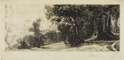 Kora reggel, Richmond Park alkotó: Francis Seymour Haden