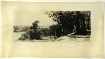 Kora reggel, Richmond Park alkotó: Francis Seymour Haden