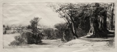 Kora reggel, Richmond Park. alkotó: Francis Seymour Haden