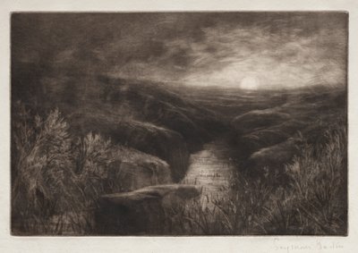 A szúnyog kísértete. alkotó: Francis Seymour Haden