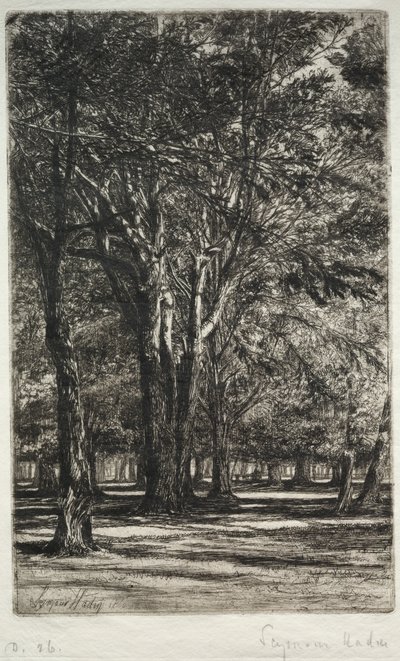 Kensington Gardens (The Larger Plate) alkotó: Francis Seymour Haden