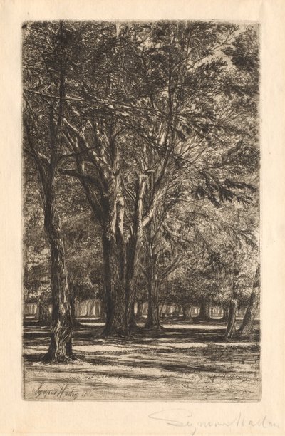 Kensington Gardens, No. 2 (nagy tányér) alkotó: Francis Seymour Haden
