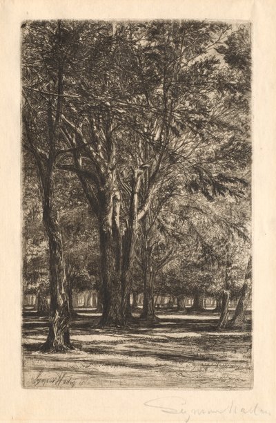 Kensington Gardens, No. 2 Large Plate, 1860. alkotó: Francis Seymour Haden