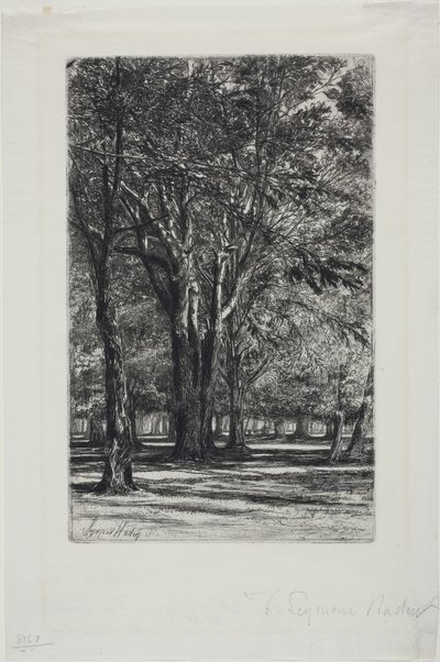 Kensington Gardens, No. II (nagy lemez) alkotó: Francis Seymour Haden