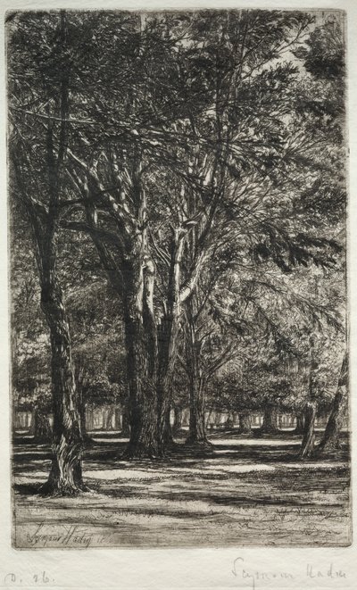 Kensington Gardens The Larger Plate, 1860. alkotó: Francis Seymour Haden