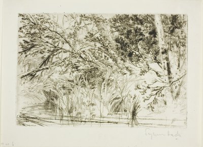 Patak szája, II alkotó: Francis Seymour Haden