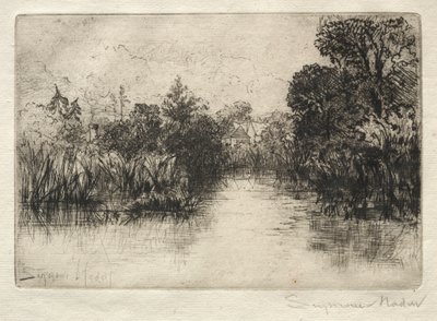 Shere Mill Pond Egy kis tanulmány. alkotó: Francis Seymour Haden