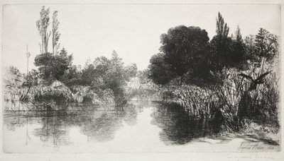 Shere Mill Pond, No. 11 (A nagy tányér) alkotó: Francis Seymour Haden